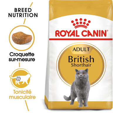 Royal Canin - Croquettes BRITISH SHORTHAIR ADULT pour Chats - 400g