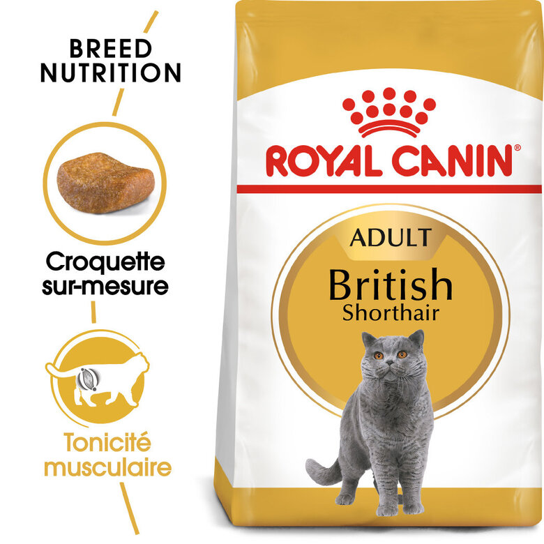 Royal Canin - Croquettes BRITISH SHORTHAIR ADULT pour Chats - 400g image number null