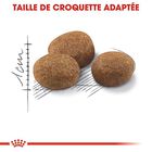 Royal Canin - Croquettes Sterilised 7+ pour Chat Senior - 3,5Kg image number null