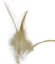 Leeby - Jouet Pompon avec Plumes pour Chats - 32cm Indicateur image numéro 6