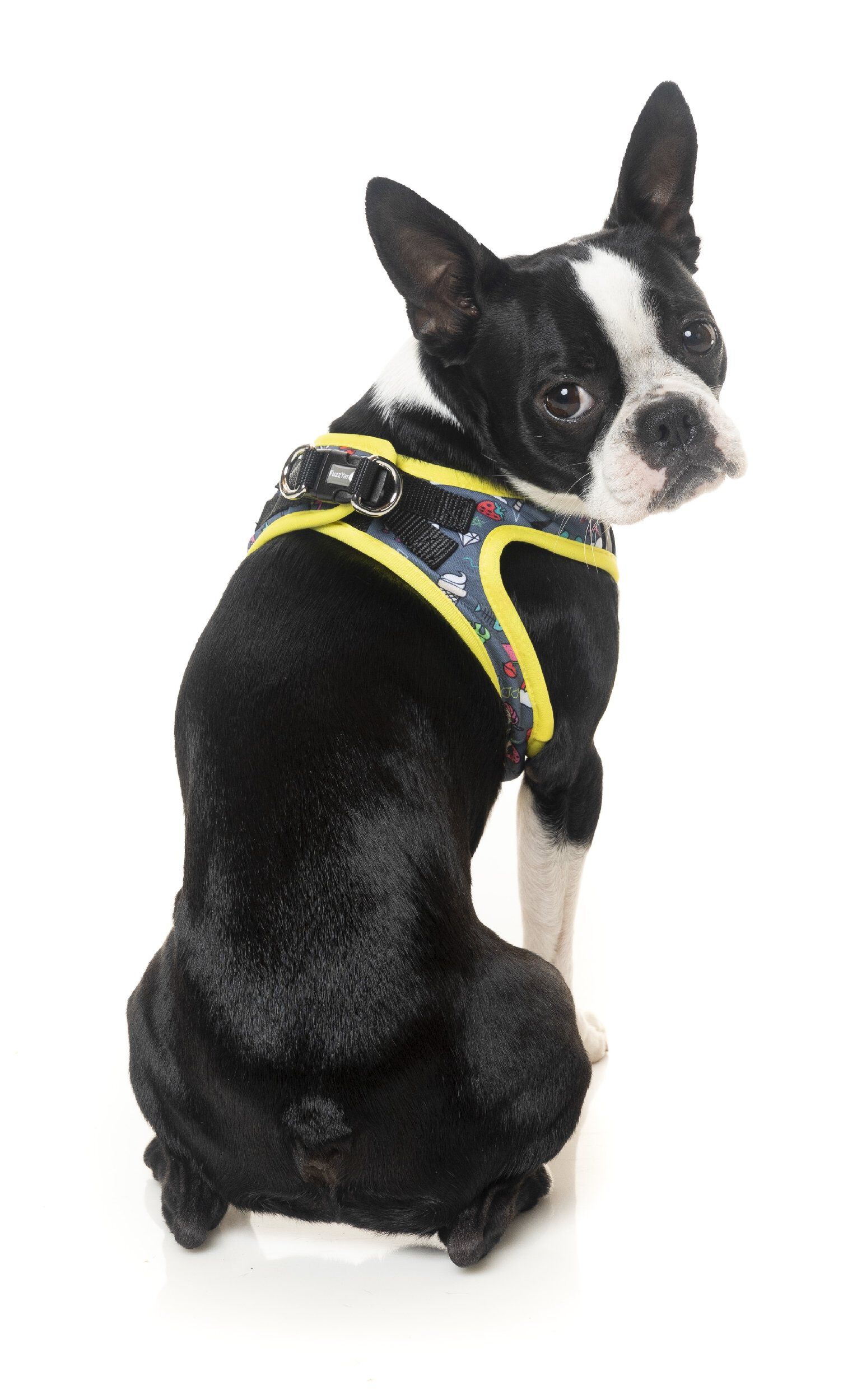 FuzzYard - Harnais Coachella pour Chien - S Image num&eacute;ro 4