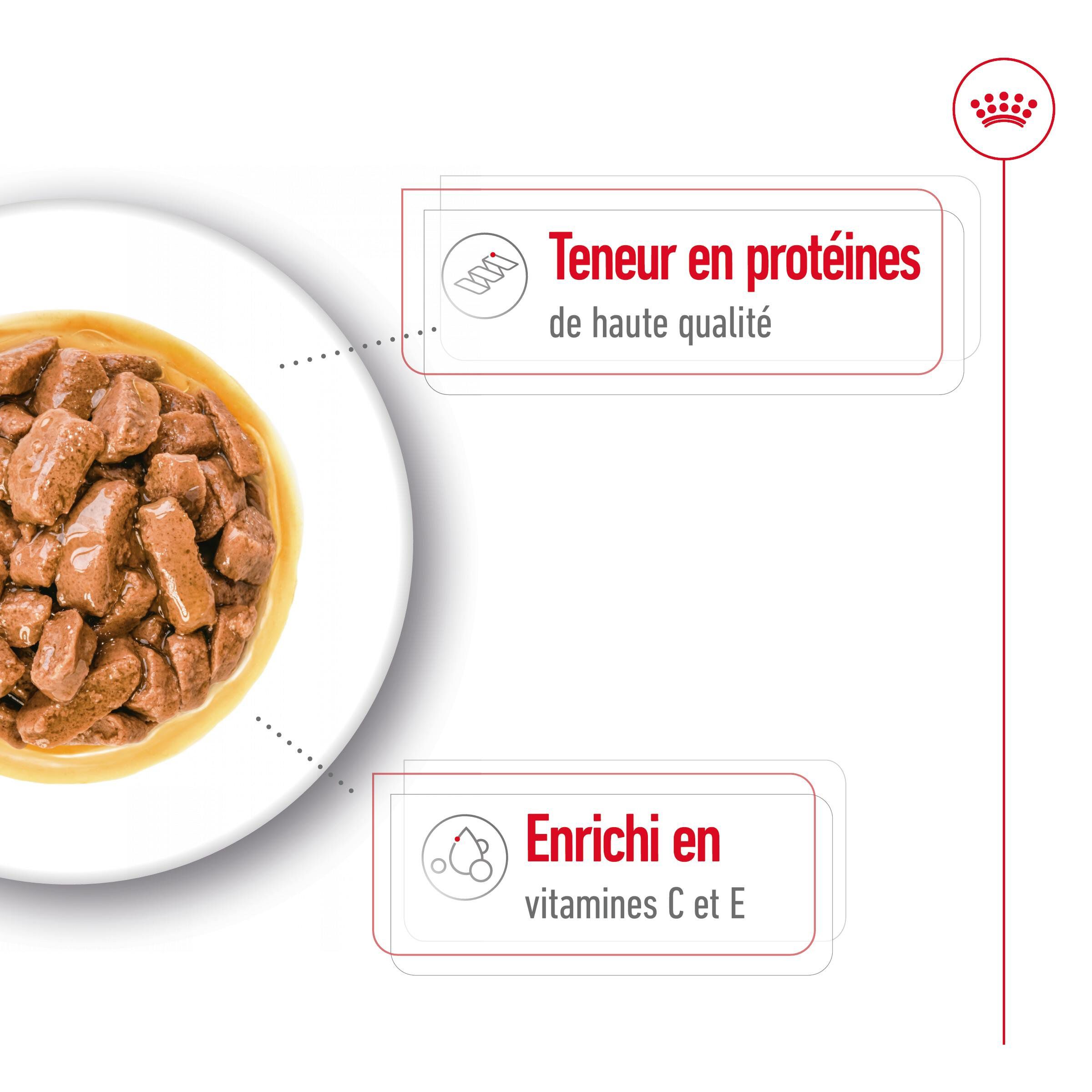 Royal Canin - Sachet Fraicheur Medium Adult En Sauce Pour Chiens - 10x140g Image num&eacute;ro 5