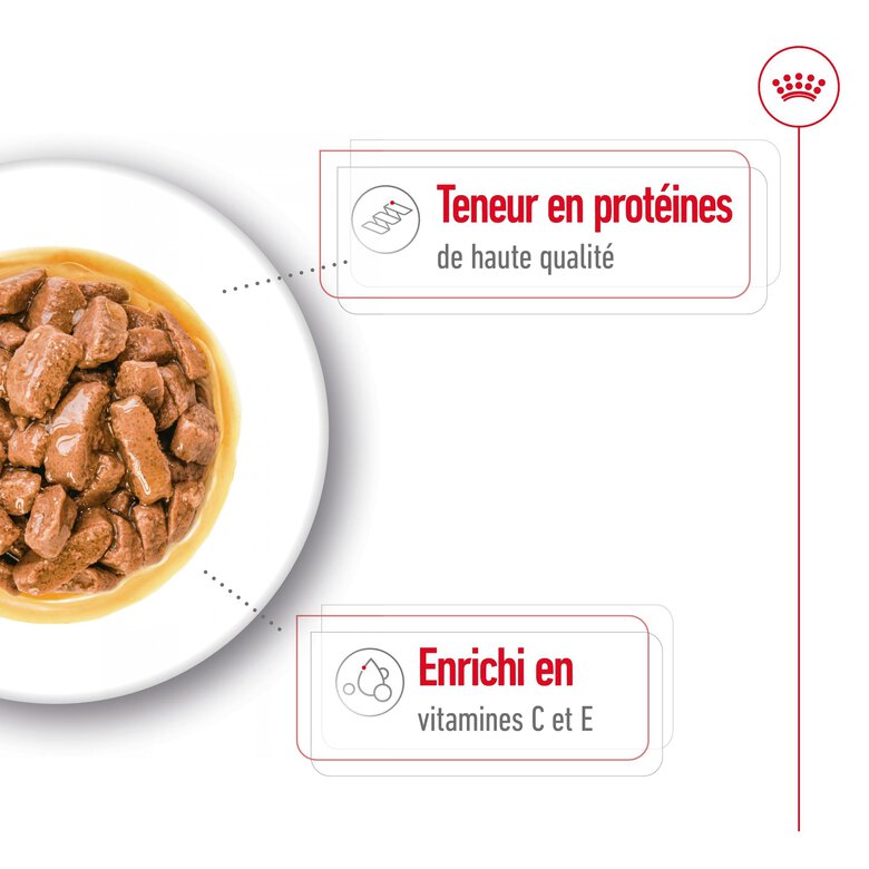 Royal Canin - Sachet Fraicheur Medium Adult En Sauce Pour Chiens - 10x140g Image numéro 5 Royal Canin - Sachet Fraicheur Medium Adult En Sauce Pour Chiens - 10x140g Image numéro 5