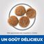 Hill's Science Plan - Adult Sensitive Stomach & Skin Croquettes Pour Chien Au Poulet  - 12kg Indicateur image numéro 5
