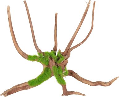 Zolux - Racine Araignée Naturelle Kipouss pour Aquarium