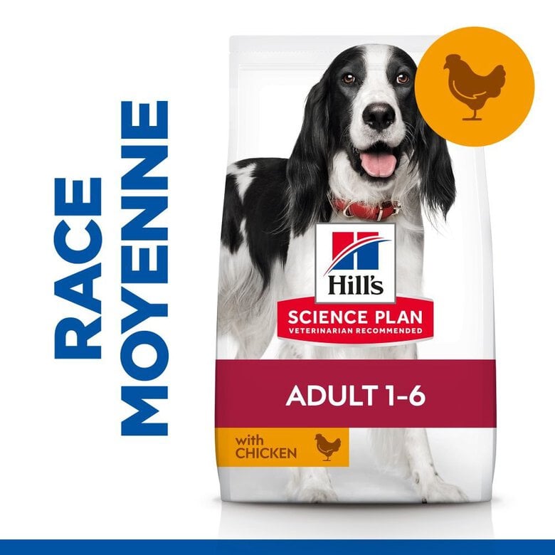 Hill's Science Plan - Adult Croquettes Pour Chien Au Poulet  - 12kg Image numéro 3 Hill's Science Plan - Adult Croquettes Pour Chien Au Poulet  - 12kg Image numéro 3