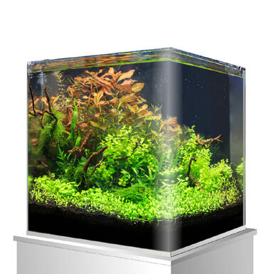 Amtra - Cuve Nanotank 60 - 38x38x43cm