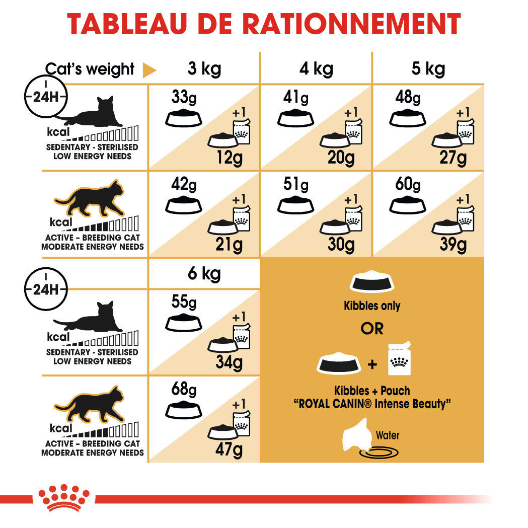 Royal Canin - Croquettes Siamese Adult pour Chats - 2Kg Image num&eacute;ro 6