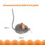 Outward Hound - Jouet Souris Squeak Mouse pour Chats - Gris Indicateur image numéro 2