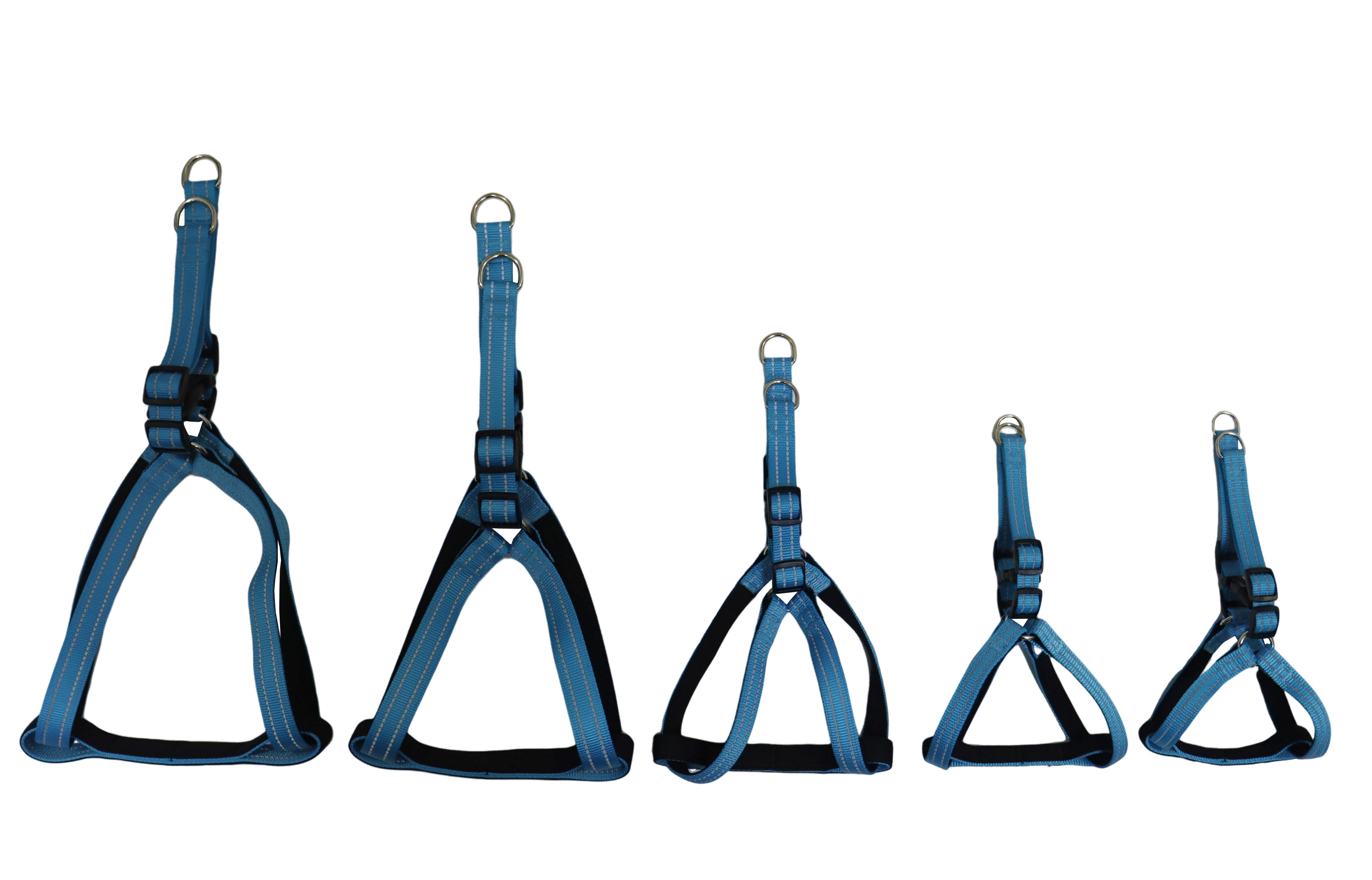 Gotoo - Harnais Essentials en Nylon Premium Bleu pour Chien - XS Image num&eacute;ro 6