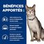 Hill's - Sachet Repas Prescription Diet K/D Kidney Care au Saumon pour Chats - 12x85g Indicateur image numéro 3