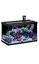 Eheim - Aquarium AquaStar Marine LED Équipé de 63L - Noir Indicateur image numéro 1
