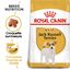 Royal Canin - Croquettes Jack Russel Terrier pour Chien Adulte - 3Kg Indicateur image numéro 1
