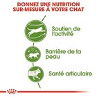 Royal Canin - Croquettes Outdoor 30 pour Chat - 4Kg image number null