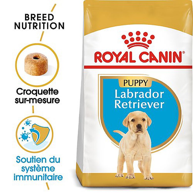Royal Canin - Croquettes Labrador Junior pour Chiot - 12Kg image number null