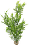 Labeo - Arbre assorti grand modèle - Plante Artificielle Aquarium Indicateur image numéro 1