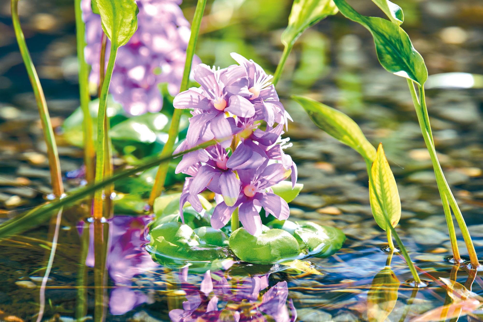 Pontec - Plante Artificielle PondoHyacinth Fleurie pour Bassin - 15cm Image num&eacute;ro 4