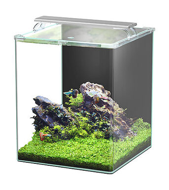 Aquatlantis - Aquarium Kubus Curve 65L - Essential