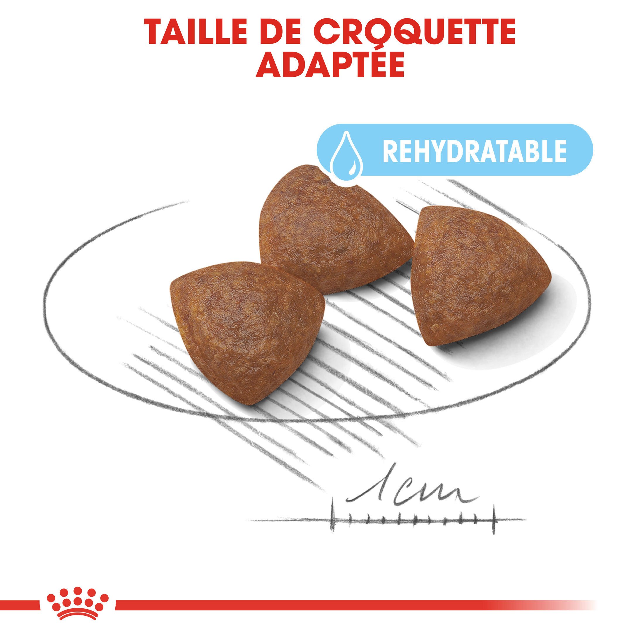 Royal Canin - Croquettes Starter Mother & Babydog Medium pour Chiennes et Chiots - 4KG Image num&eacute;ro 4