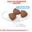 Royal Canin - Croquettes Starter Mother & Babydog Medium pour Chiennes et Chiots - 4KG Indicateur image numéro 4