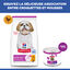 Hill's Science Plan - Mature Small&Mini Mousse Pour Chien Ag&eacute; De Petite Race B&oelig;uf  - 200g Indicateur image num&eacute;ro 9