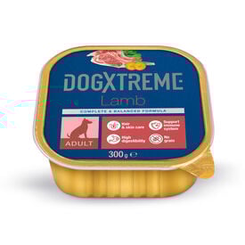 DogXtreme - Boîte à l'Agneau pour Chien Adulte - 300g