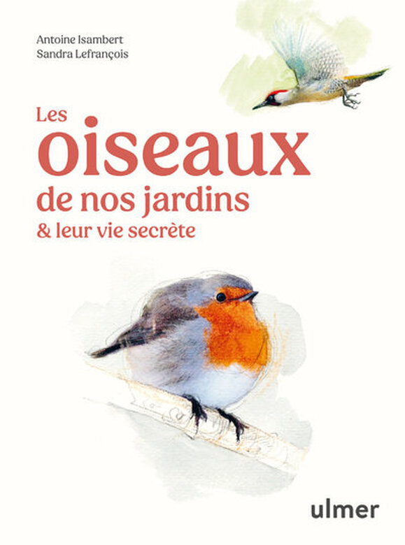 Les oiseaux de nos jardins Image numéro 1 Les oiseaux de nos jardins Image numéro 1