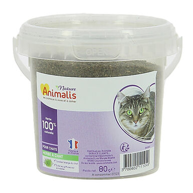 Animalis - Cataire en poudre pour Chat - 80g