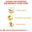 Royal Canin - Croquettes Carlin pour Chien Adulte - 1,5Kg Indicateur image numéro 5