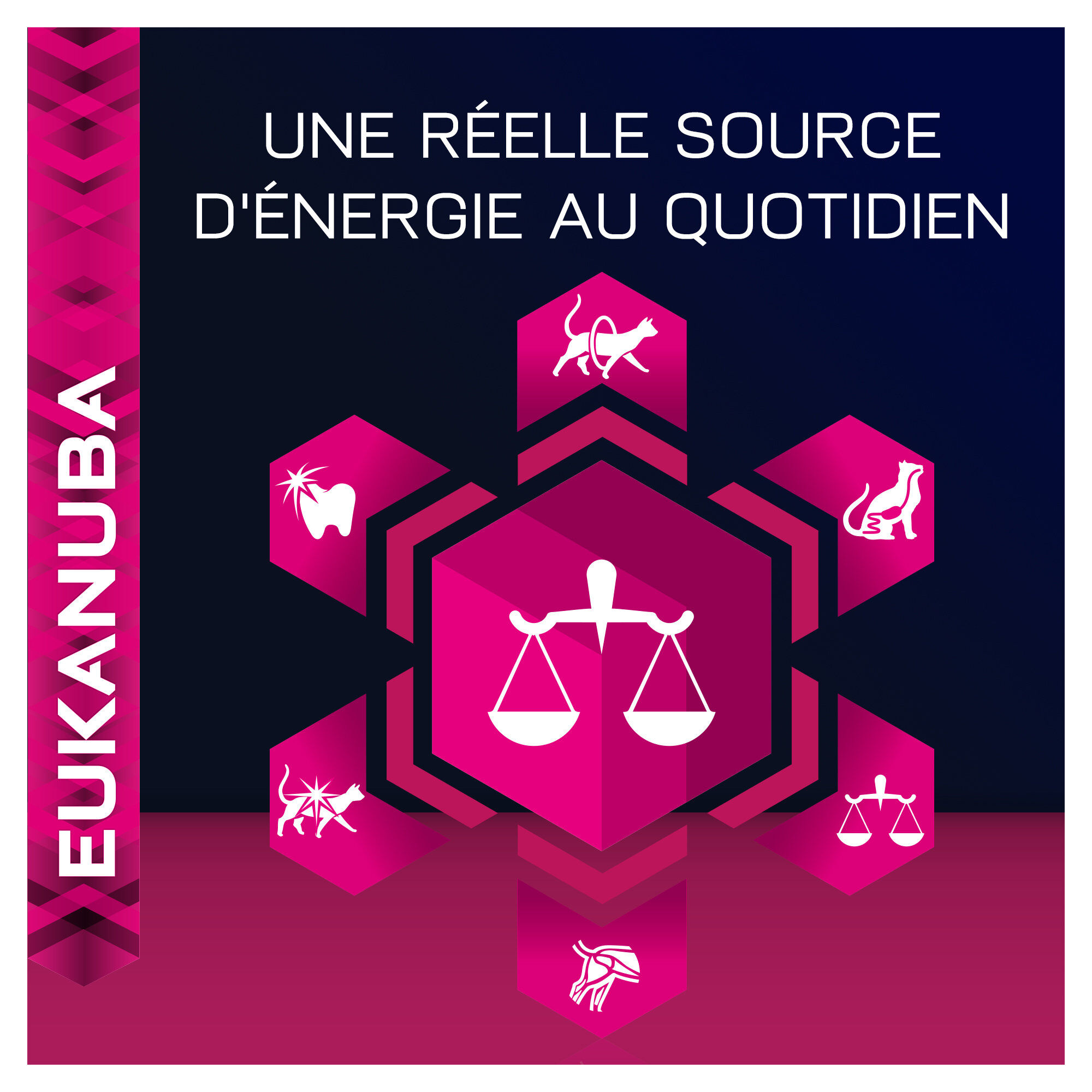 Eukanuba - Chats - St&eacute;rilis&eacute;s et Surpoids - Croquettes 10 Kg Image num&eacute;ro 7