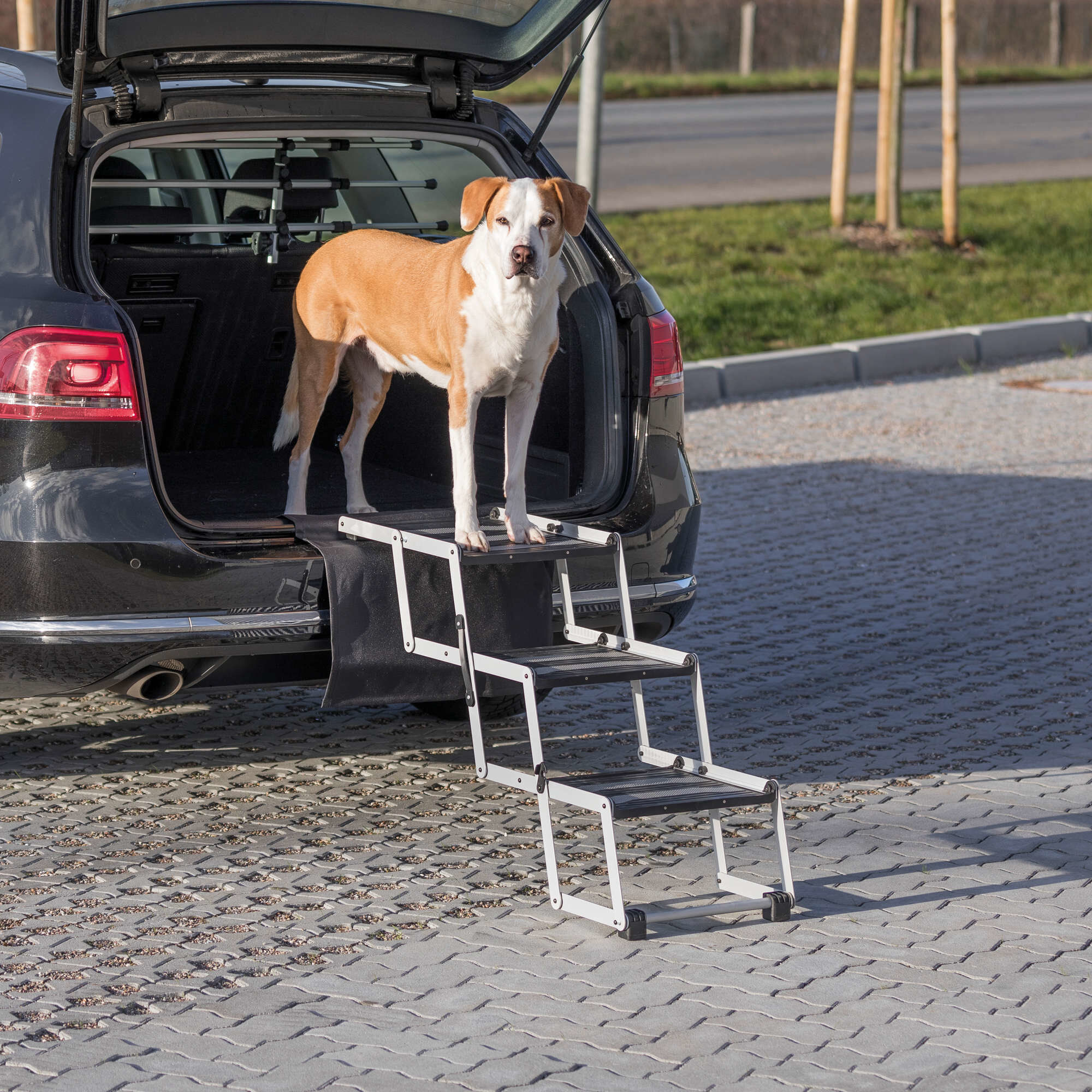Trixie - Escalier de Transport Repliable Petwalk pour Chien - 120cm Image num&eacute;ro 5