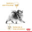 Royal Canin - Croquettes Adult Spitz Nain pour Chien - 1,5Kg Indicateur image numéro 4