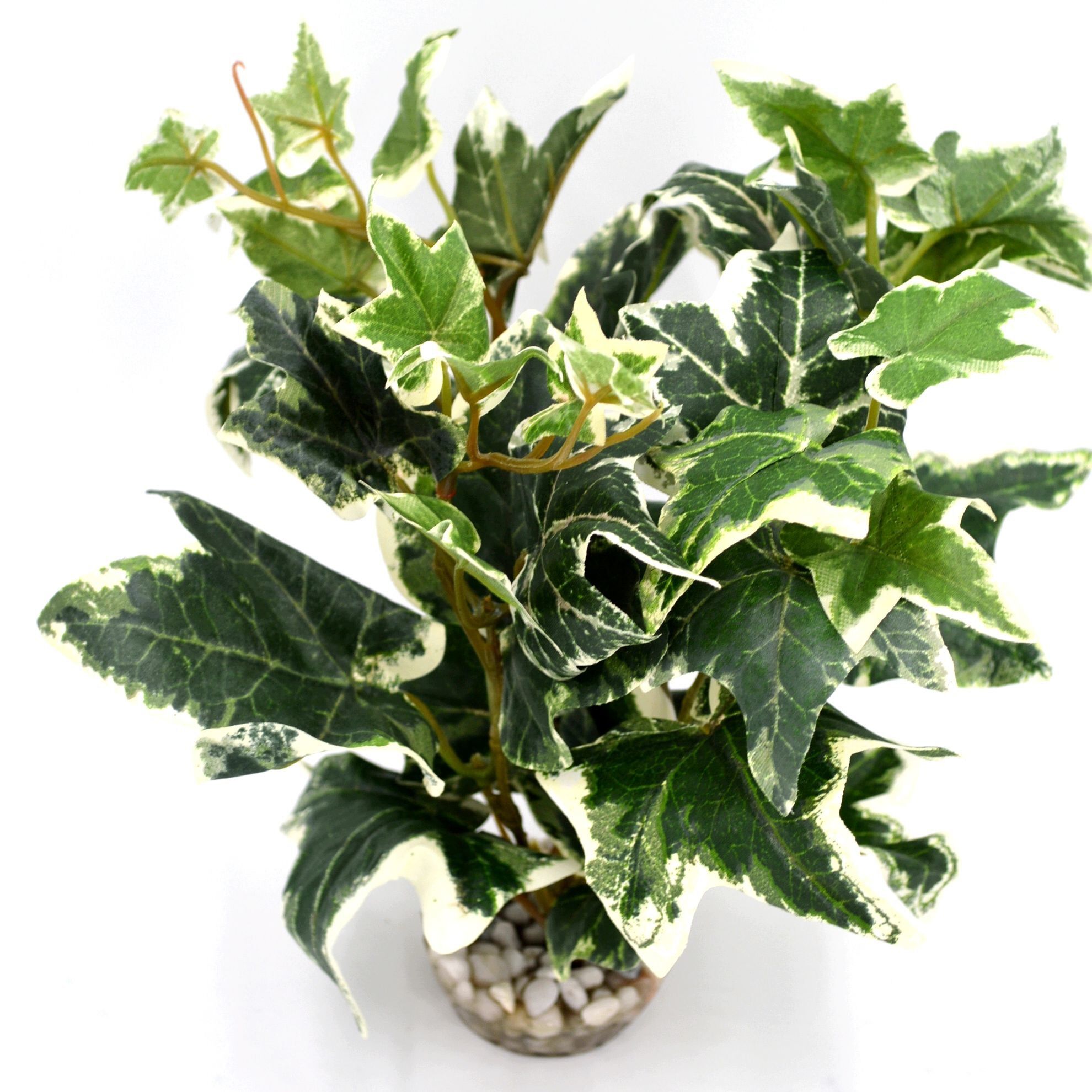 Labeo - D&eacute;coration Plante Verte Artificielle pour Aquarium Image num&eacute;ro 1