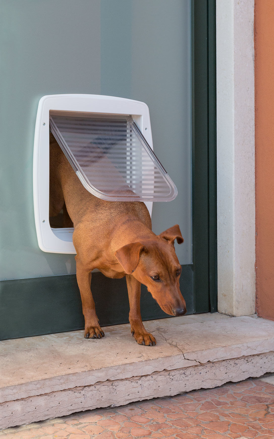 Ferplast - Chati&egrave;re Swing 11 pour Chiens - Gris Image num&eacute;ro 4