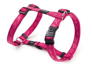 Rogz - Alpinist Harnais - 25 MM Rose