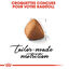 Royal Canin - Croquettes Ragdoll Adult pour Chat - 2Kg Indicateur image numéro 3