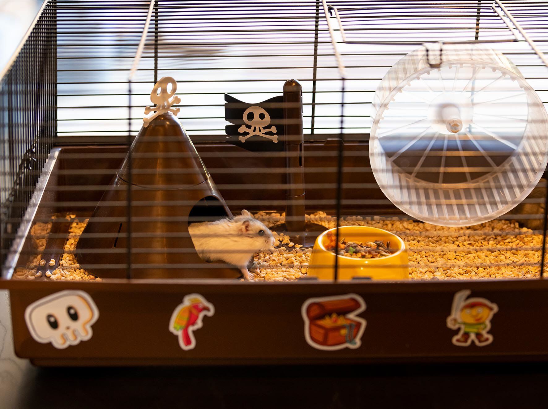 Ferplast - Cage Criceti 9 Pirates pour Hamsters Image num&eacute;ro 8