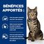 Hill's - Croquettes Prescription Diet Metabolic pour Chats - 3Kg Indicateur image numéro 4