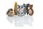Hunter - Jouet Fyn Marmotte pour Chiens - 20cm Indicateur image numéro 2