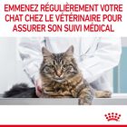 Royal Canin - Sachets Hair&Skin Gelée pour Chat - 12x85g image number null