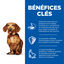 Hill’s Science Plan Perfect Weight Adult Small&Mini Mousse Chien Adulte Petite Race Dinde,  - 200g Indicateur image numéro 3