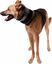 KVP - Minerve Bite Free Cervical pour Chiens - 15cm Indicateur image numéro 1