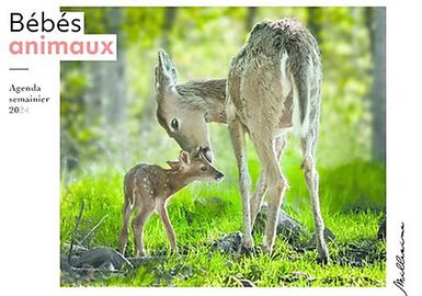 Agenda semainier 2024 - Bébés animaux