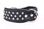 Yogipet - Collier Crystal Déco pour Chien Noir - T65 51/60cm Indicateur image numéro 3