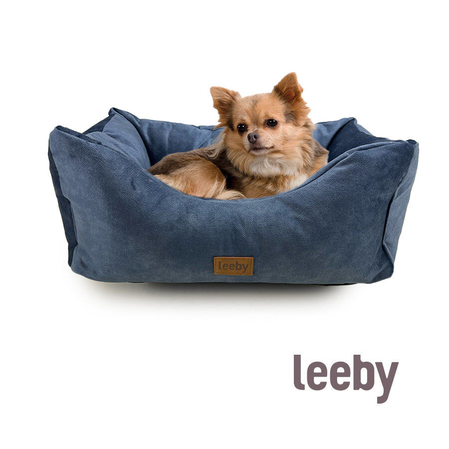 Leeby - Sofa Bleu pour Chiens Image num&eacute;ro 1