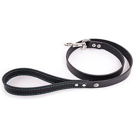 Martin Sellier - Laisse Flash Noir/Turquoise pour Chiens