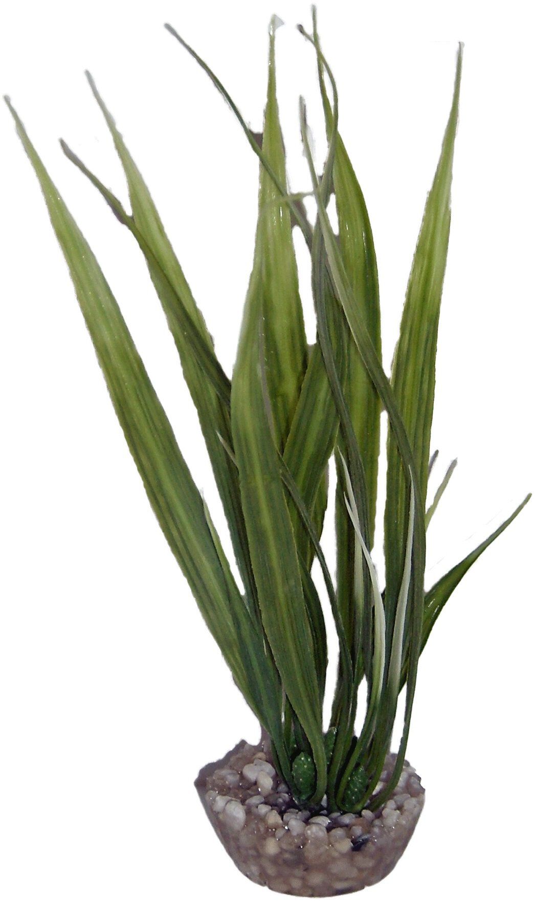 Labeo - Herbe petit mod&egrave;le color&eacute;e - Plante Artificielle Aquarium Image num&eacute;ro 1