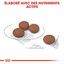 Royal Canin - Croquettes Mini Digestive Care pour Chien - 3Kg Indicateur image numéro 6