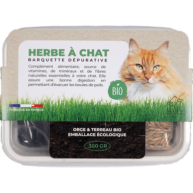 Herbe à chat Barquette 300gr BIO