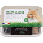 Herbe à chat Barquette 300gr BIO image number null